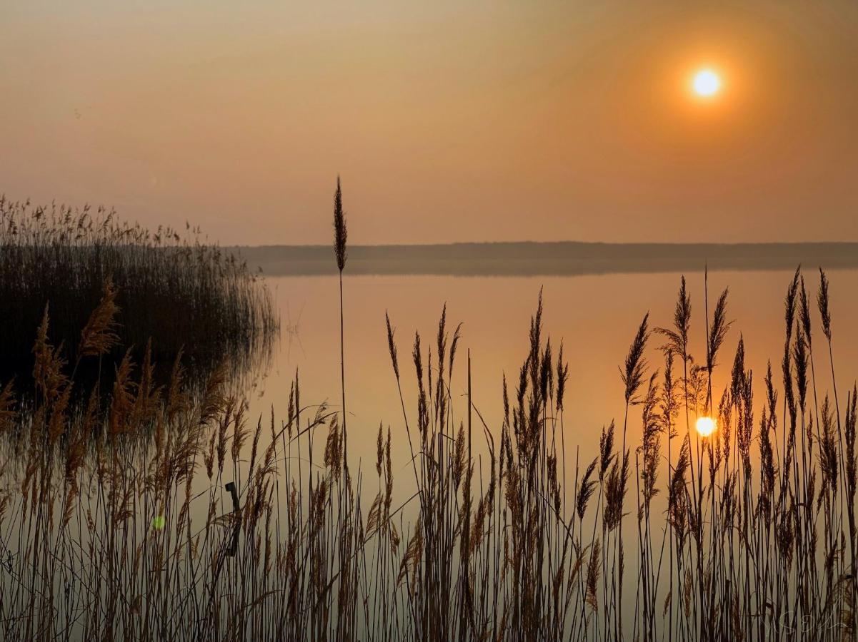 Die Moewen Villa Vetschau Esterno foto